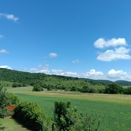 Vad-Lak Vendeghaz Apartment Aggtelek Bagian luar foto