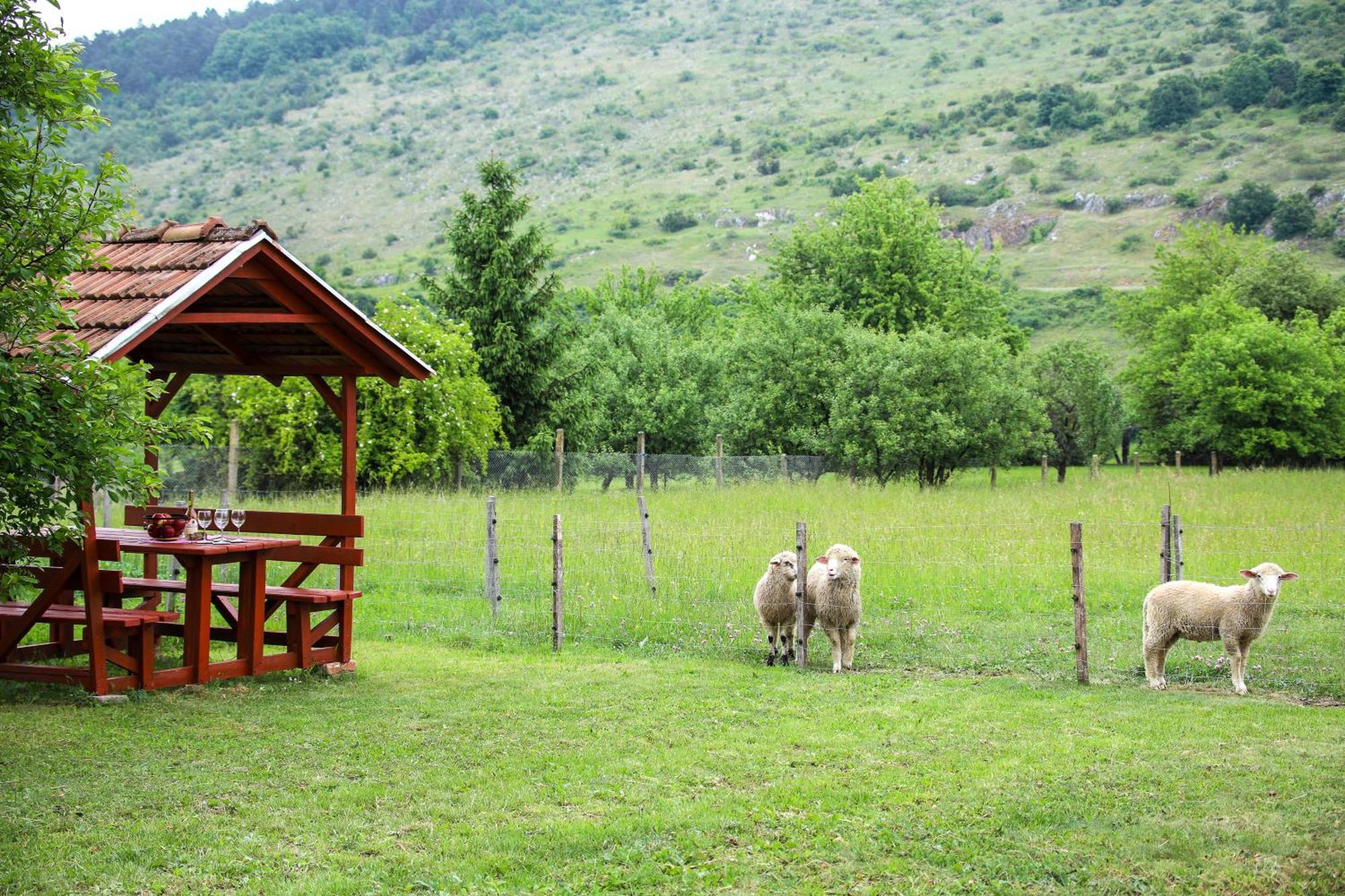 Vad-Lak Vendeghaz Apartment Aggtelek Bagian luar foto