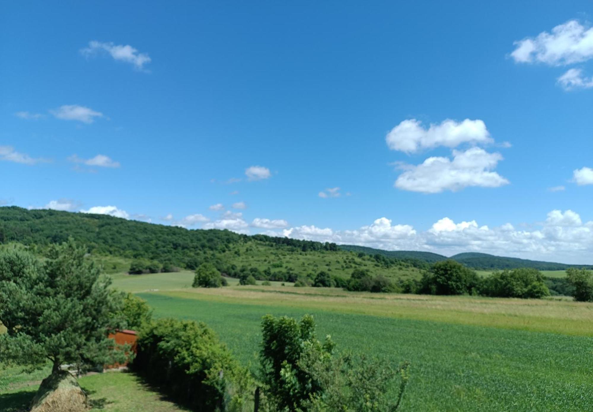 Vad-Lak Vendeghaz Apartment Aggtelek Bagian luar foto